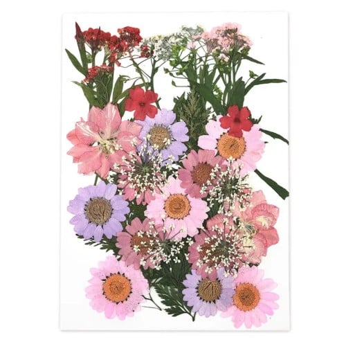 كرت ورد طبيعي مضغوط 540104