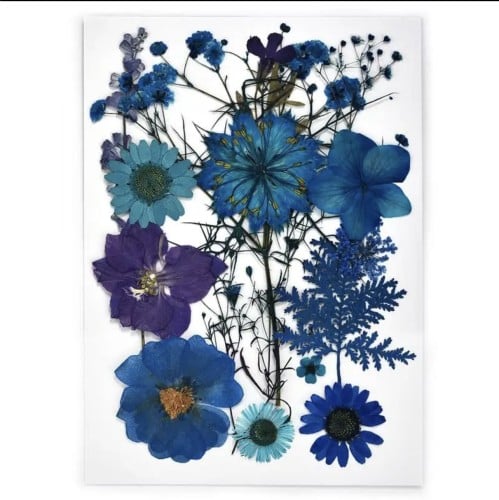 كرت ورد مجفف طبيعي مضغوط 540102