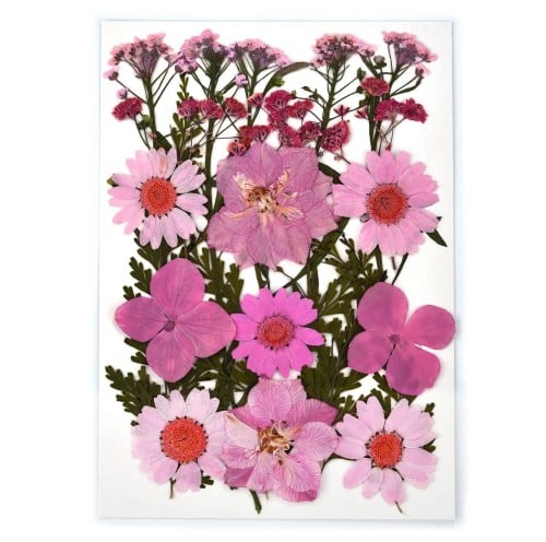 كرت ورد مضغوط