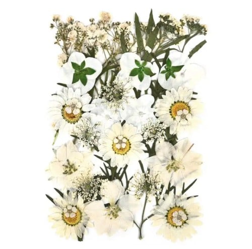 كرت ورد طبيعي مضغوط