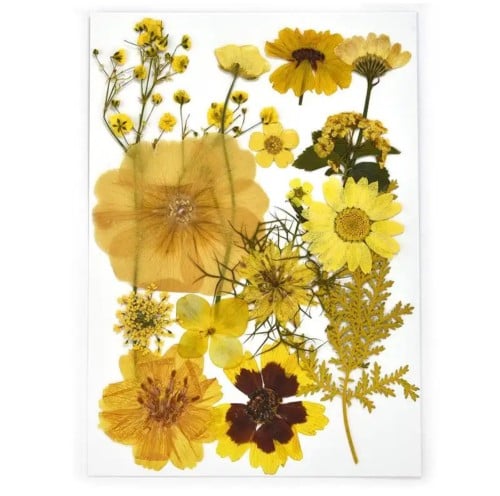 كرت ورد طبيعي مضغود535500