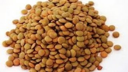 واسمة عدس ابو جبة 1ك