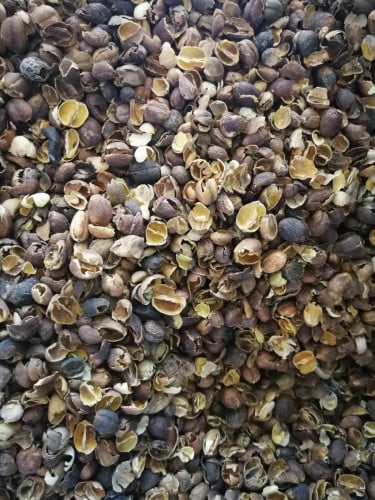 قشر بن يمني 250ج