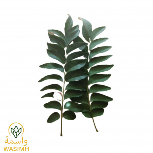 ورق كاري طازج