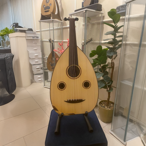 عود رزين الإحترافي