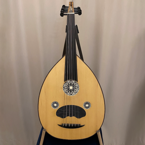 عود رزين الإحترافي ماهوجني