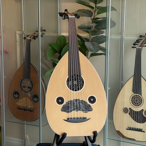 عود رزين الإحترافي