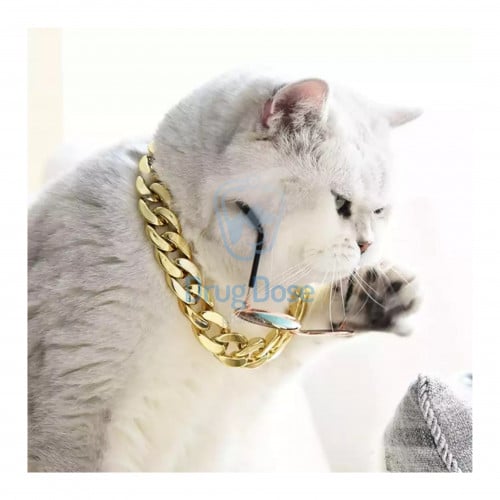 قلادة للحيوانات الاليفة
