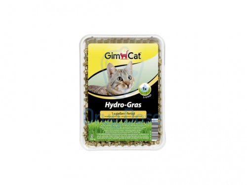 عشبة للقطط من شركة GimCat