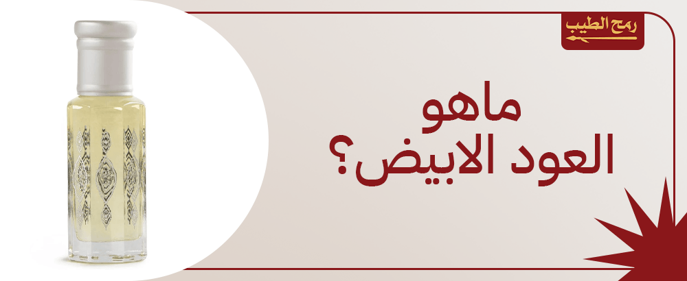 ماهو العود الابيض.. فوائده وطريقة استخراجه