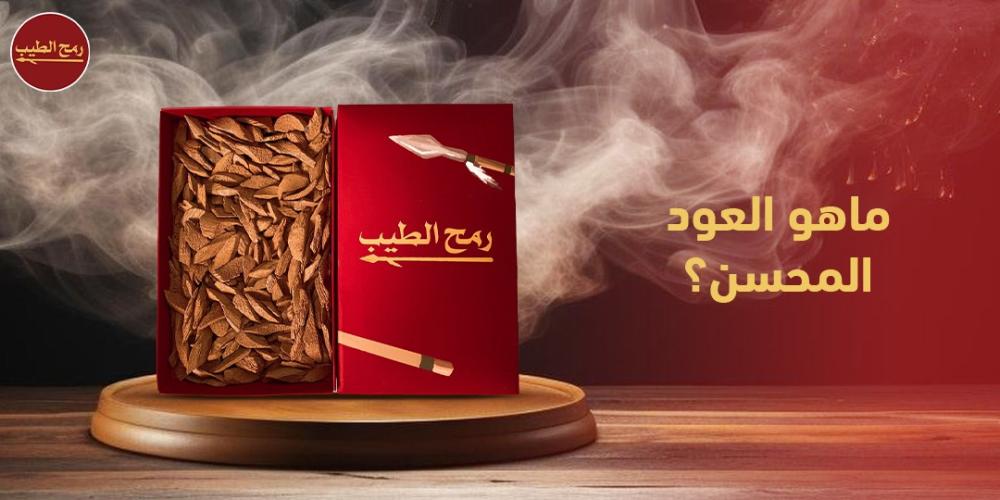 ماهو العود المحسن؟.. مميزاته وأفضل اماكن الشراء