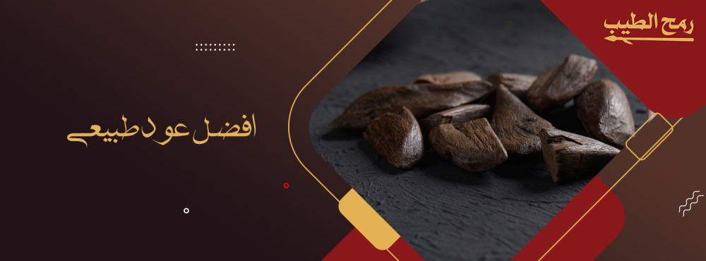 كل ما تود معرفته عن افضل عود طبيعي