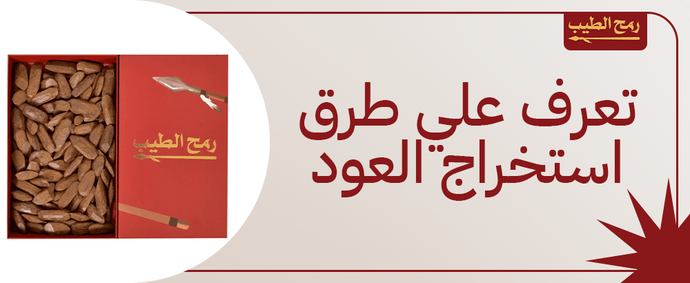 تعرف علي طرق استخراج العود