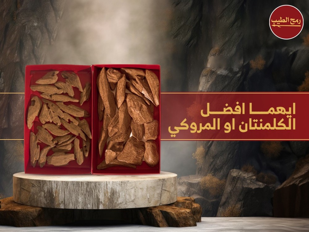 الفرق بين العود الكمنتان والمروكي