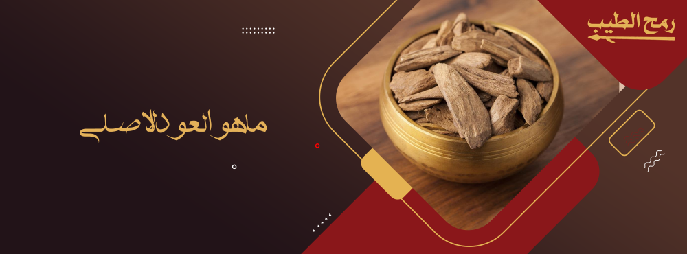 ماهو العود الاصلي