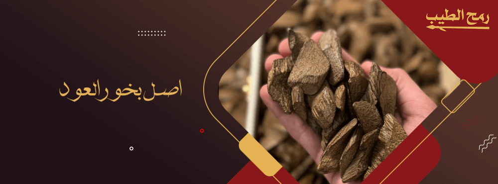 اصل بخور العود