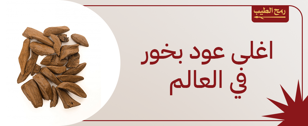اغلى عود بخور في العالم