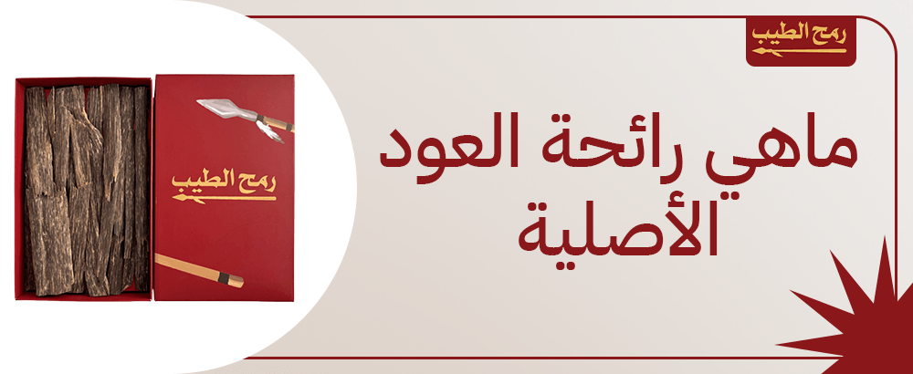 ماهي رائحة العود الأصلية