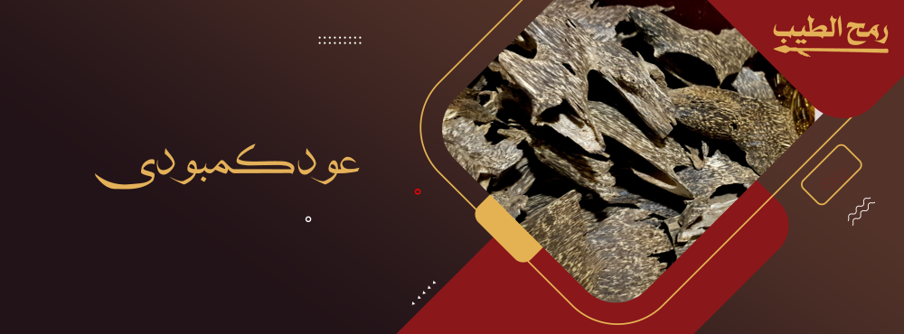 ماهو العود الكمبودي