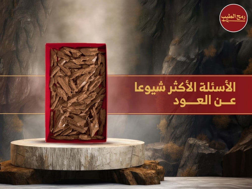 الأسئلة الأكثر شيوعا عن العود