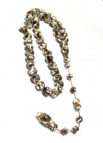 سبح ظهر السلحفاة وعاج طبيعي 537