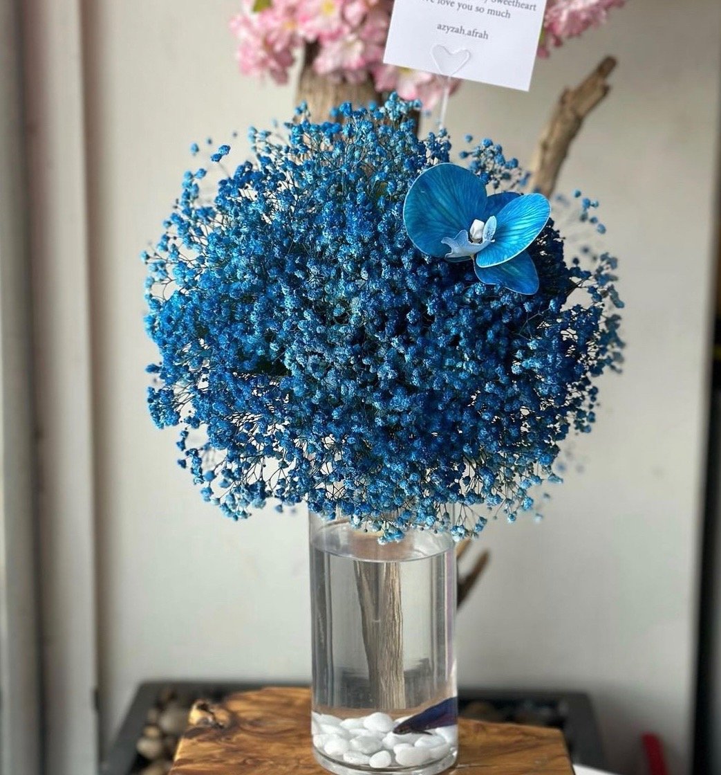 عروض تبداء من 199ريال