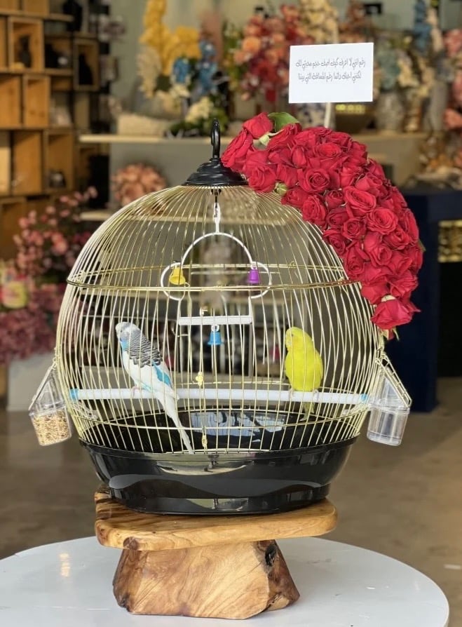 ورد مع عصافير