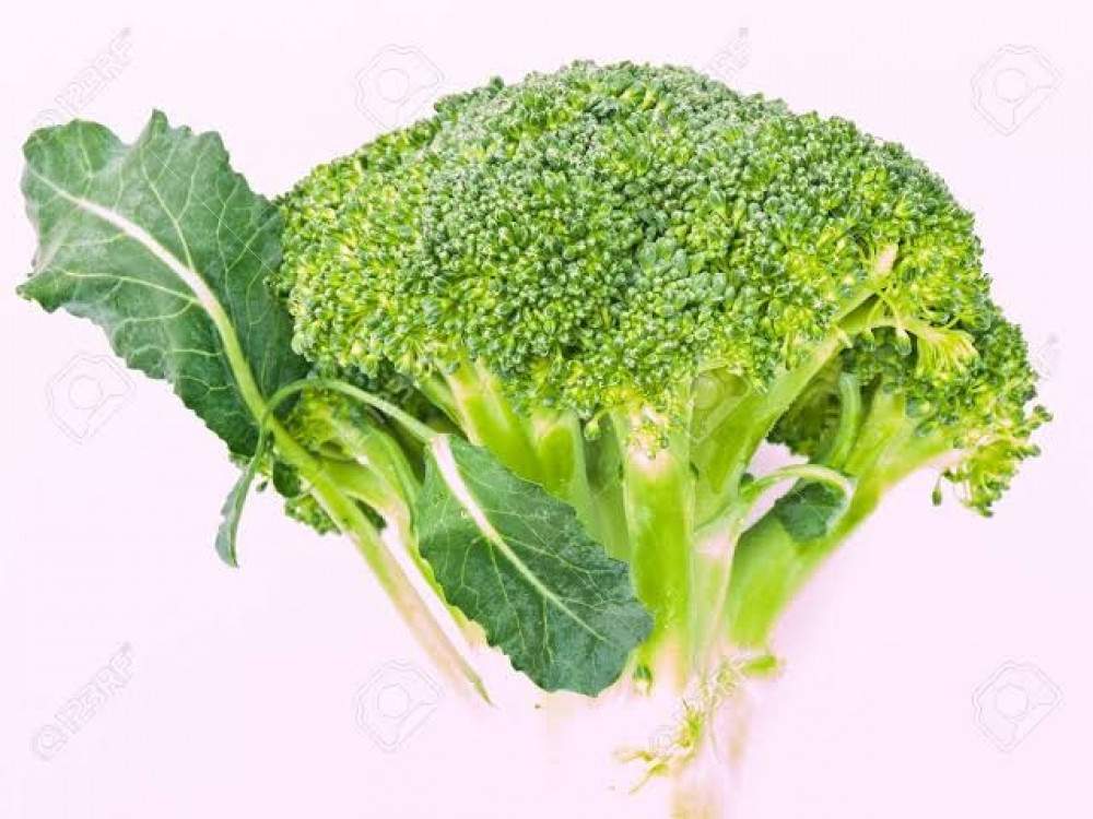 بذور بروكلي أخضر ( Brassica oleracea Var.Italica )