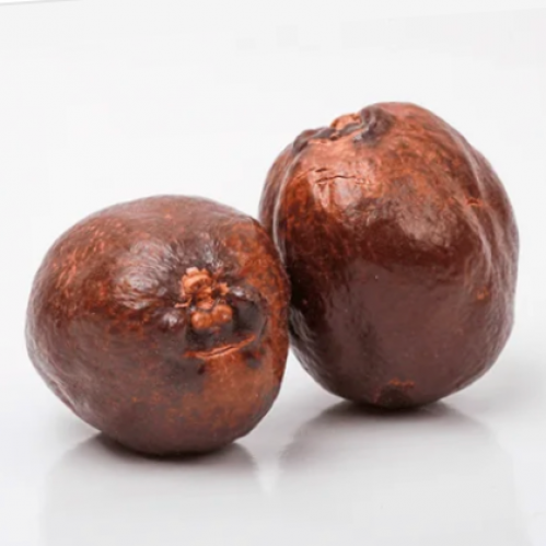 بذور نخبل الدوم Hyphaene thebaica )