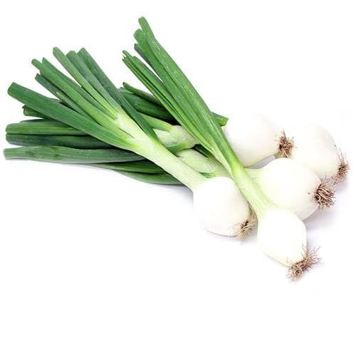 بذور بصل أخضر بارليتا ( Allium cepa )