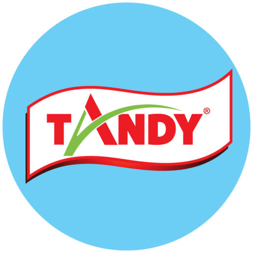 تاندي TANDY