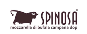 سبانوسا SPINOSA