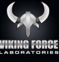 VIKING FORCE