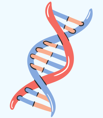 مطويات أحياء 1 - الفصل الأول