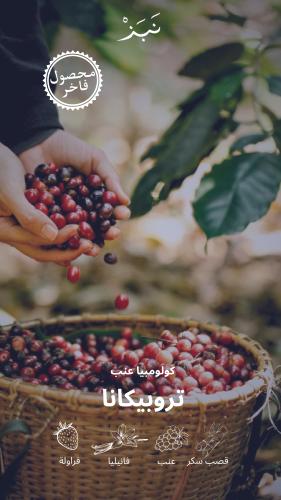 كولومبيا _ عـــنـــب