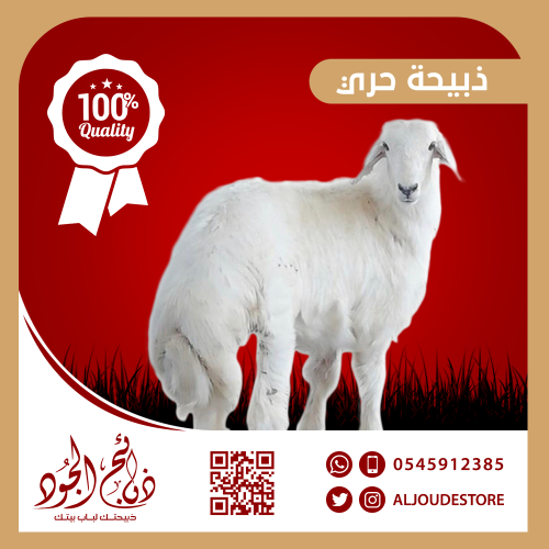 ذبيحة حري كبير