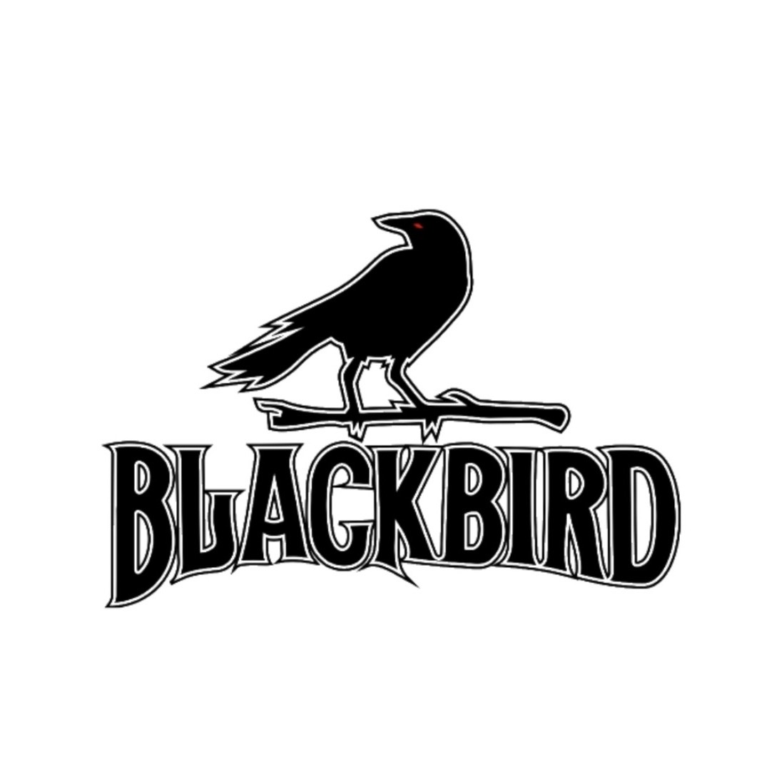 Black Bird