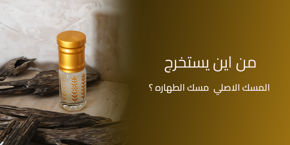 من اين يستخرج المسك الاصلي