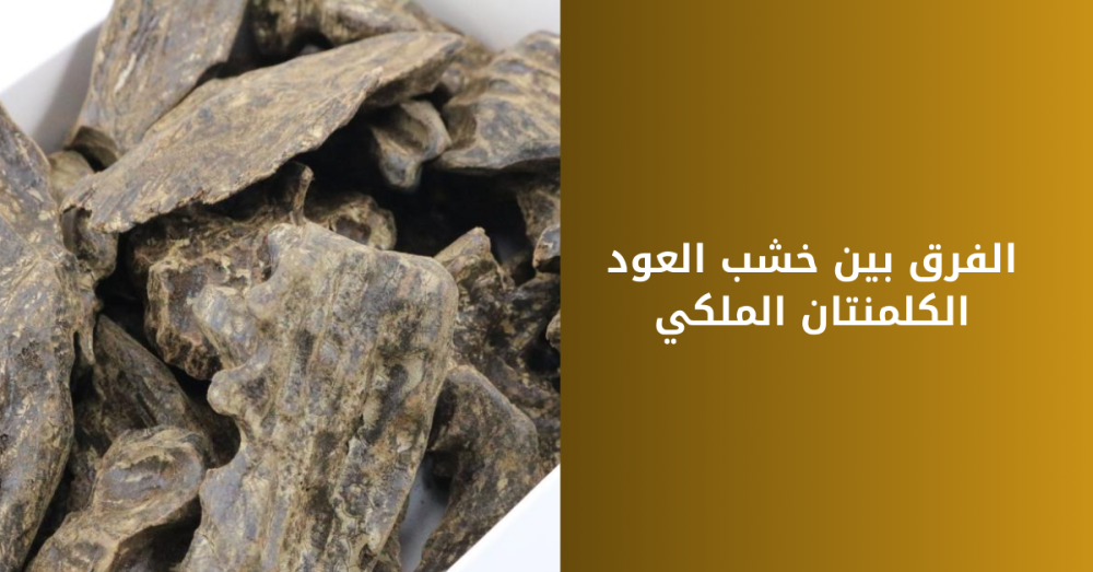 الفرق بين خشب العود الكلمنتان الملكي