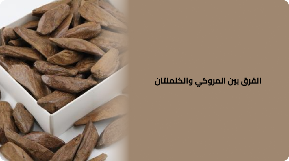الفرق بين المروكي والكلمنتان ما الذي يميز كل منهما؟