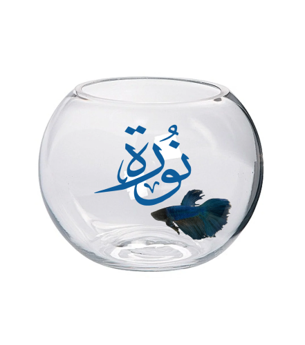 سمك فايتر 31