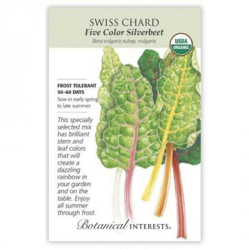 بذور سلق ملون عضوي - Swiss Chard, Five Color Silve...