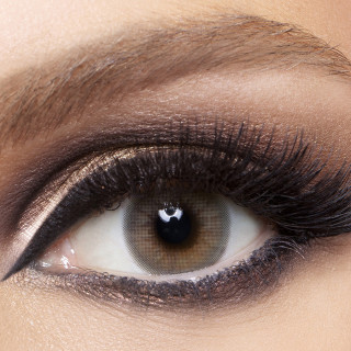 انستازيا نيويورك غيرد