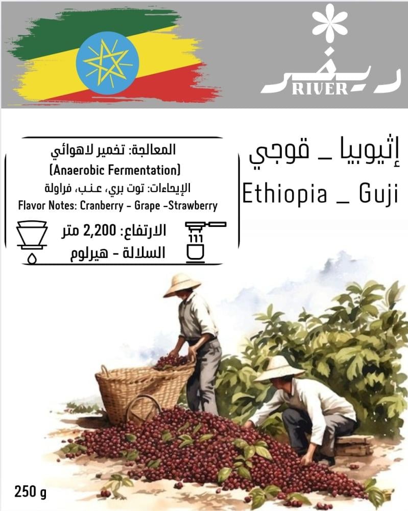 إثيوبي قوجي – مميزات المحصول وطعمه الفريد