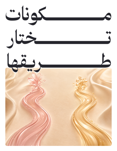 مكونات تختار طريقها
