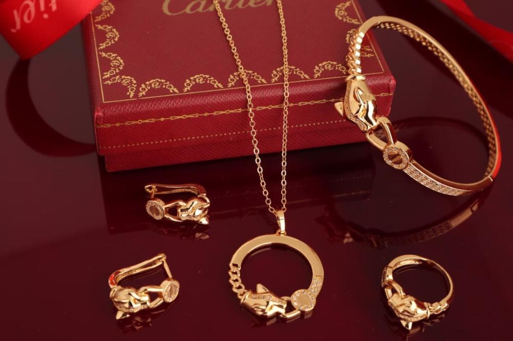 طقم اكسسوار كارتير معى تغليف الماركه