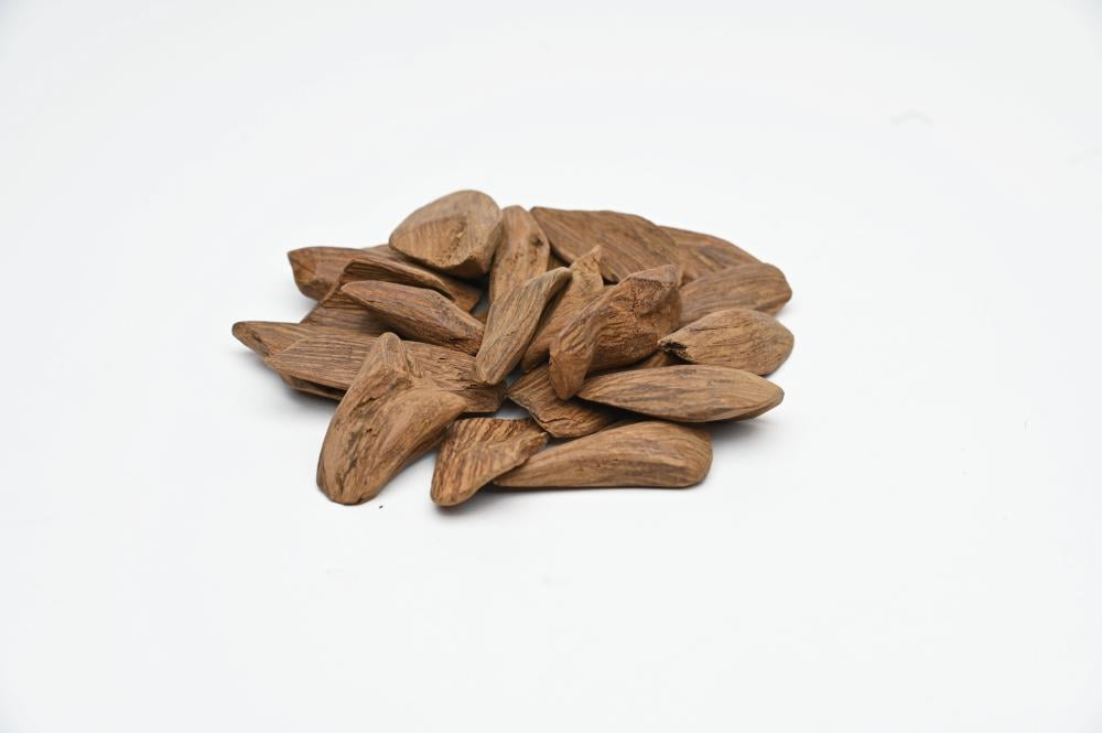 عود المملكة