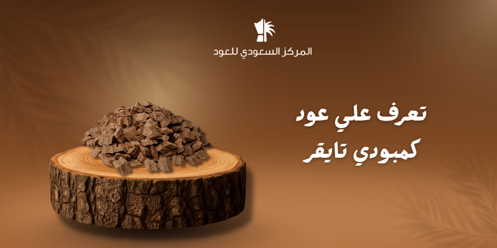 تعرف على عود كمبودي تايقر