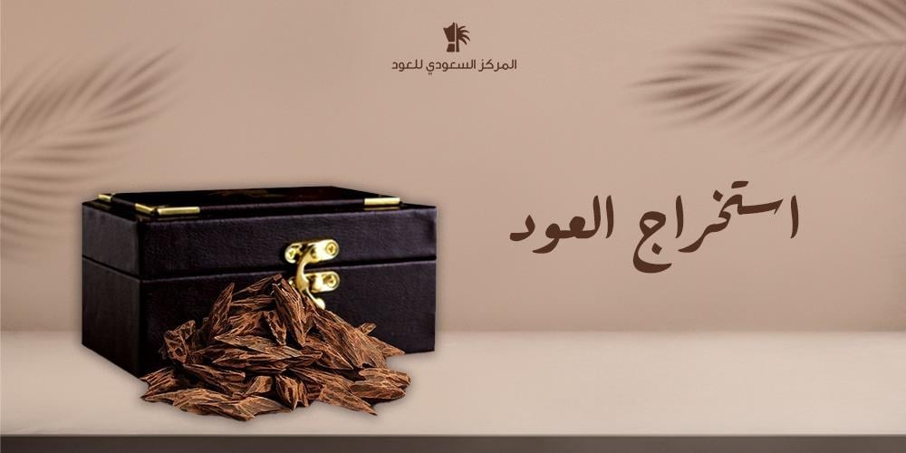 تعرف على طرق استخراج العود وتصنيعه بالتفصيل