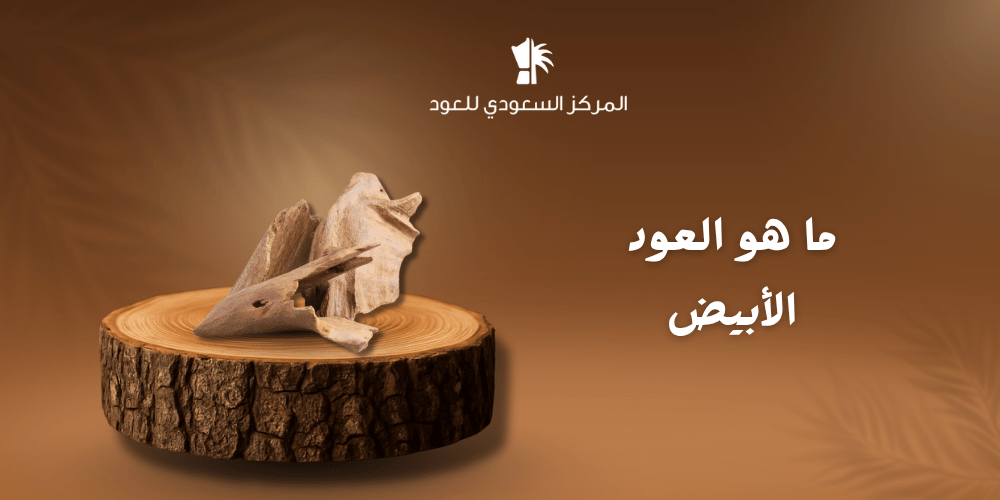 ما هو العود الأبيض